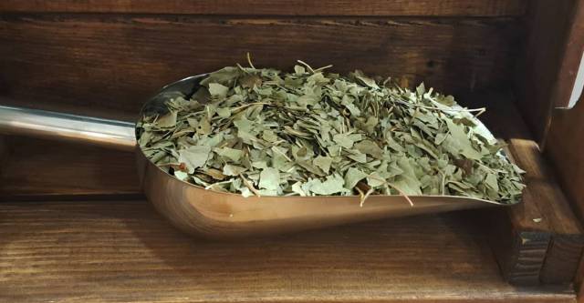 Frne feuilles BIO