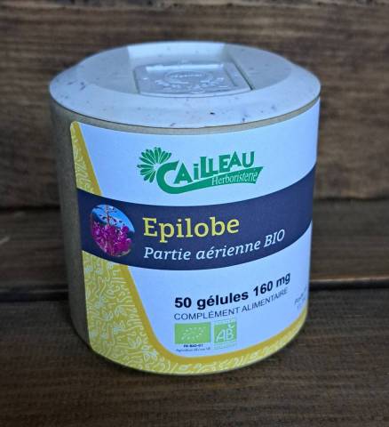 Epilobe