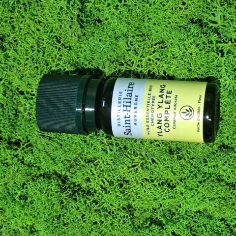 Ylang Ylang
