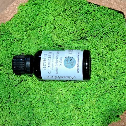Verveine citronne