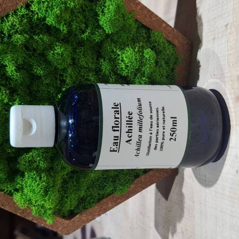 Achille millefeuilles hydrolat BIO