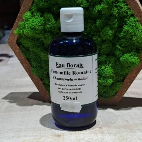 Camomille romaine Hydrolat
