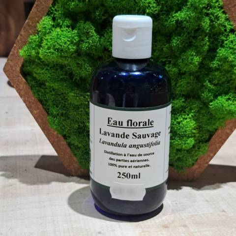Lavande hydrolat Bio