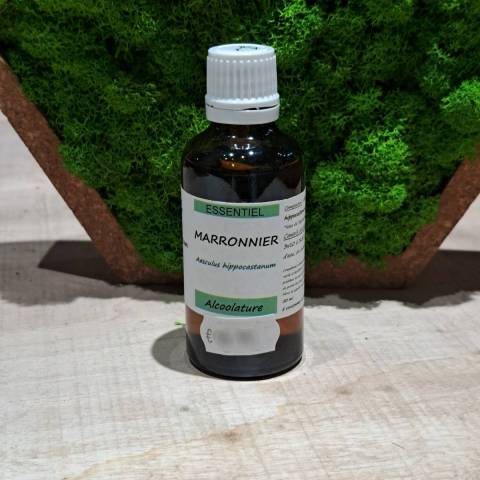Marronnnier