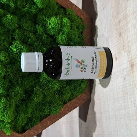 Millepertuis